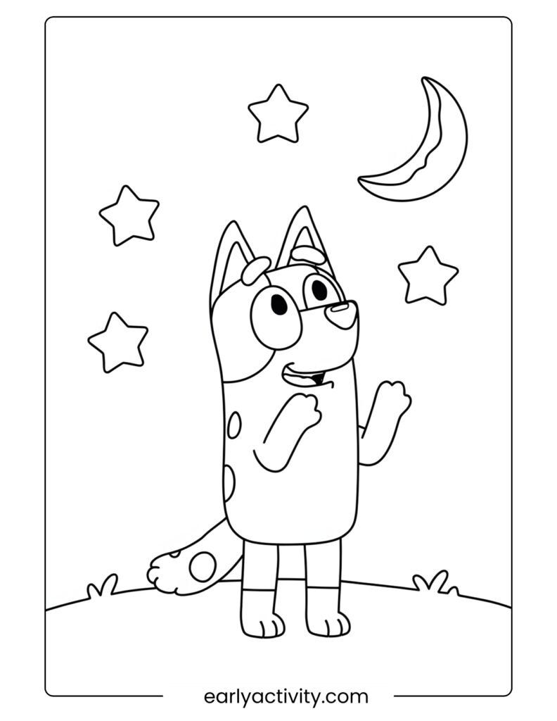 13_ Bluey Under the starts .pdf