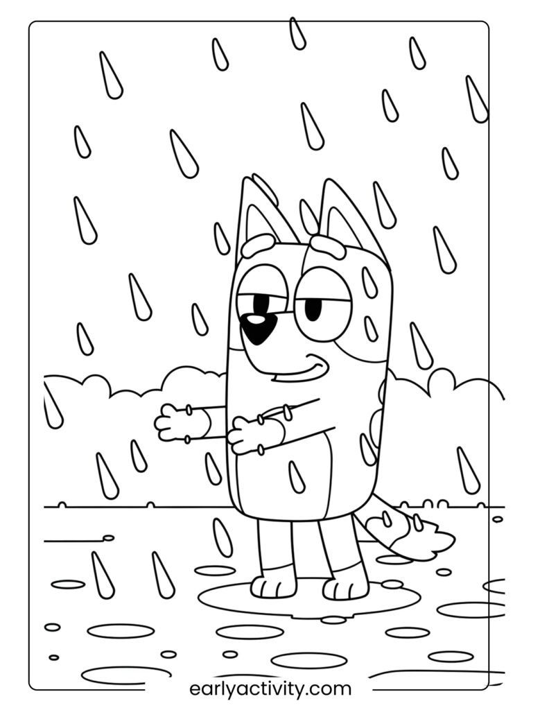 27_ Blueys catching raindrops .pdf