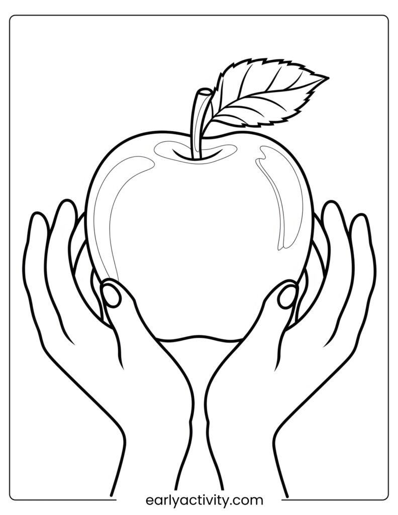 30Fresh Mcintosh Apple with Gentle Hands