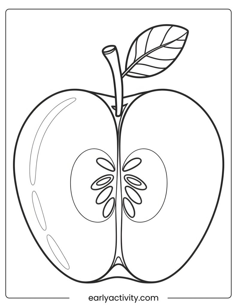 31Half Cut Apple with Hidden Seeds